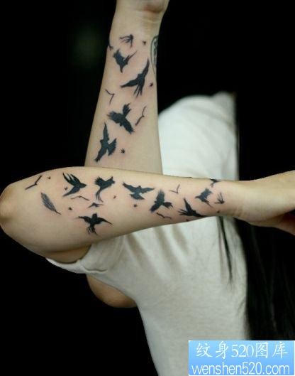 手臂潮流流行的燕子纹身图片