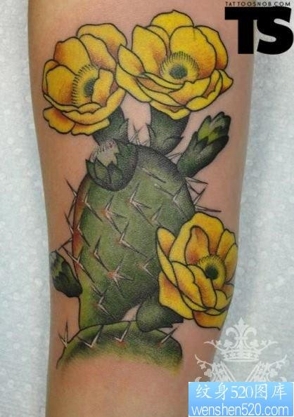 小臂上一幅彩色的仙人掌花纹身图片