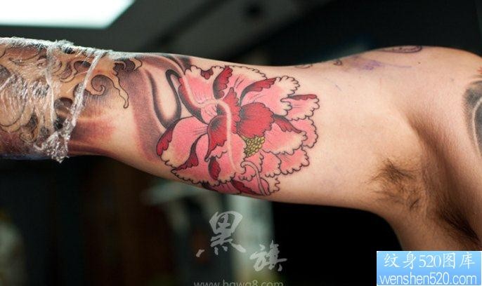 一幅手臂牡丹花纹身图片由纹身520图库推荐