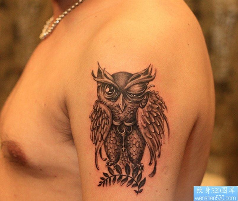 一幅手臂猫头鹰纹身图片由纹身520图库推荐