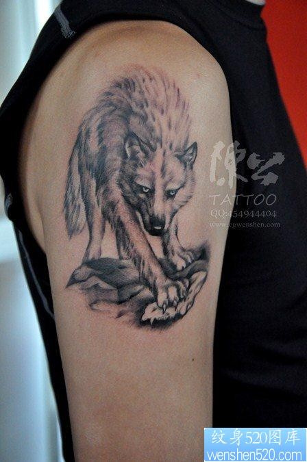一幅大臂狼纹身图片由纹身520图库推荐
