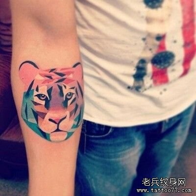 纹身520图库推荐一幅小臂彩色老虎纹身图片