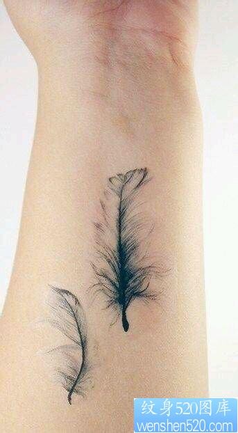 一幅女人手腕羽毛纹身图片由纹身520图库推荐