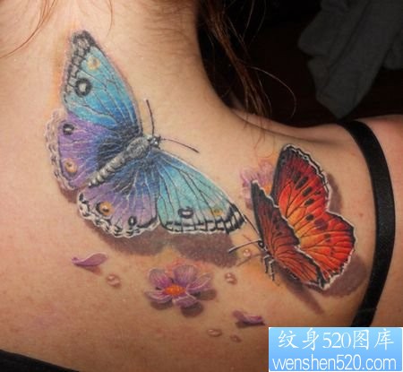 美女肩部3D彩色蝴蝶纹身图片