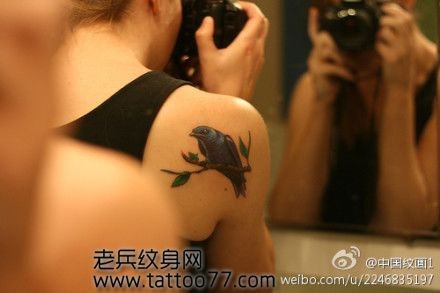 肩部唯美的小鸟纹身图片