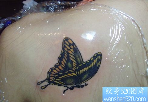 女孩子肩部好看的蝴蝶纹身图片