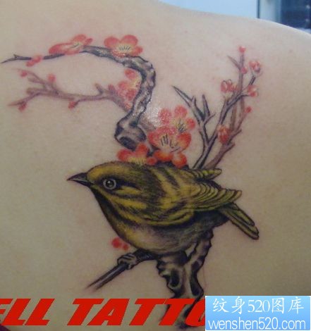 女孩子肩部好看的喜鹊梅花纹身图片
