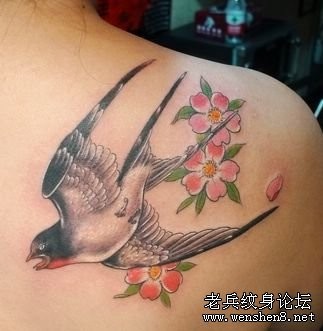 美女肩部小燕子纹身图片