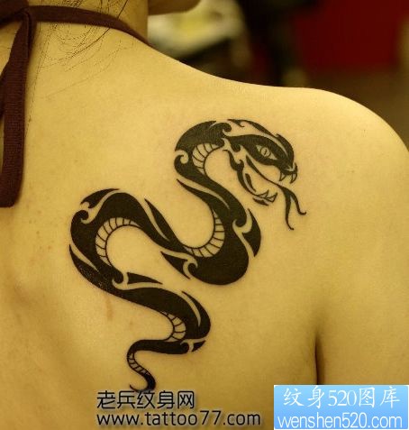 经典的美女肩部图腾蛇纹身图片