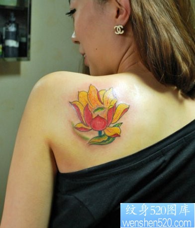美女肩背漂亮的彩色莲花纹身图片