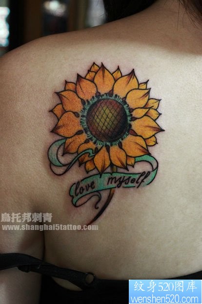 女人肩背时尚好看的向日葵花纹身图片