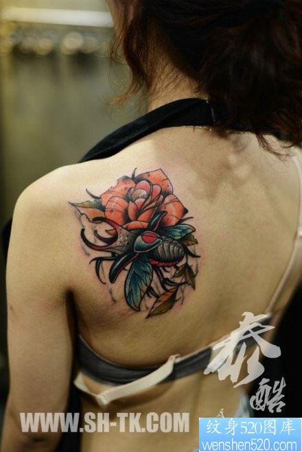 美女肩背唯美经典的甲虫与玫瑰纹身图片