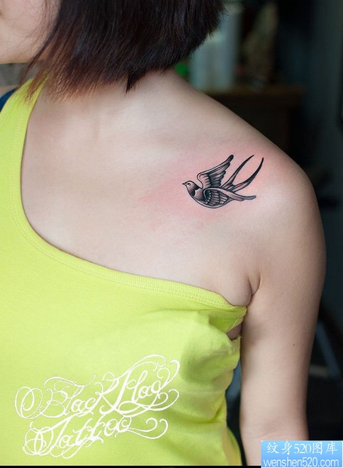 纹身520图库推荐一幅小清新锁骨燕子纹身图片