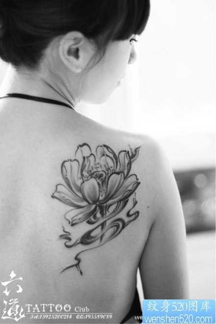 女人肩背唯美的写意莲花纹身图片