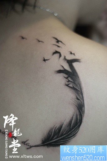 肩背潮流精美的羽化燕纹身图片