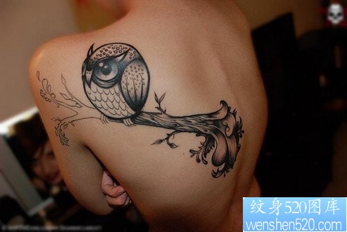纹身520图库推荐一幅女人肩部猫头鹰文身图片