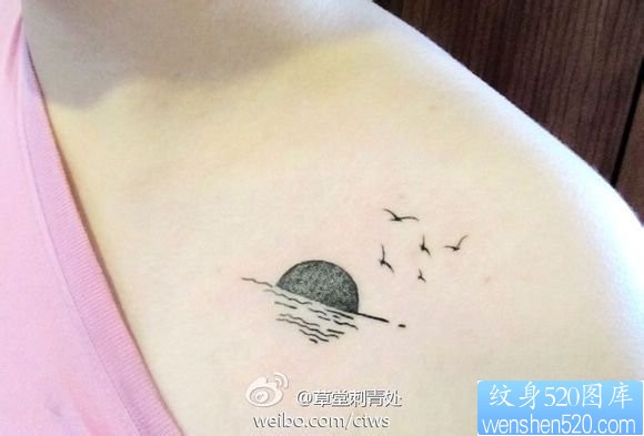 一幅女人肩部海鸥纹身图片由纹身520图库推荐