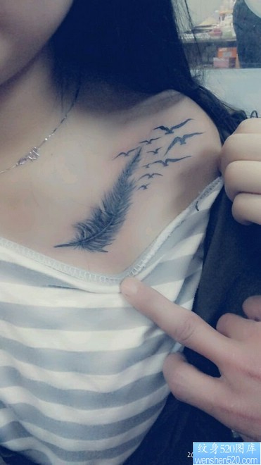 一幅女人肩部羽化蝶纹身图片由纹身520图库推荐