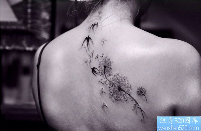 肩部蒲公英燕子纹身图片由纹身520图库推荐