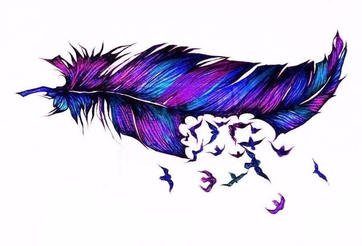 漂亮的彩色羽毛纹身手稿
