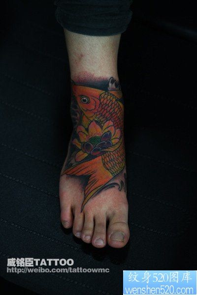 女人脚部好看的彩色鲤鱼莲花纹身图片