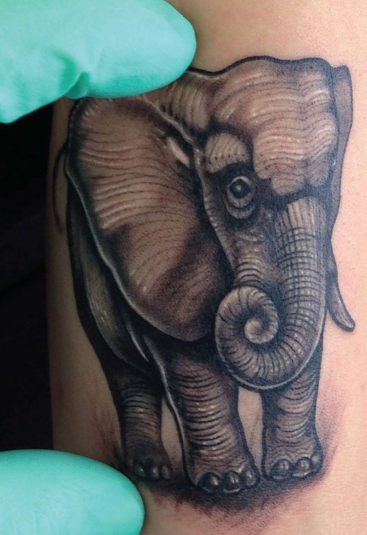 一款逼真的大象纹身