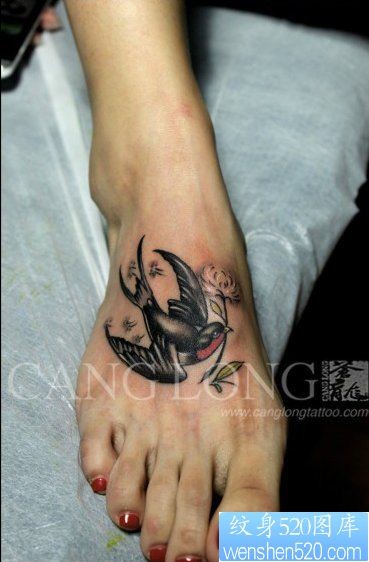 女人脚背潮流精美的燕子纹身图片