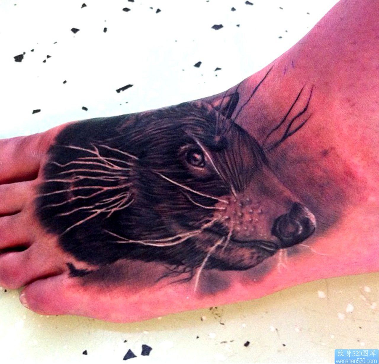 脚背上一幅个性老鼠纹身图片