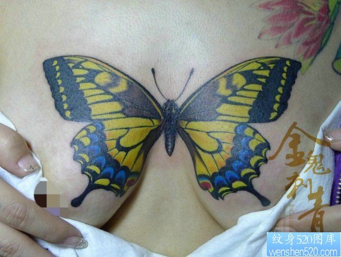 专业纹身：超有创意的一幅美女胸部蝴蝶文身图片