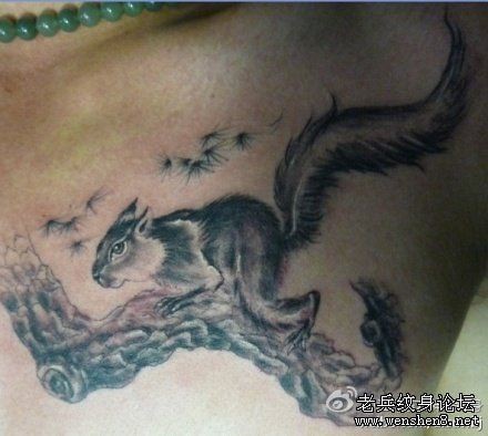 松鼠纹身图片：胸部松鼠纹身图片纹身作品