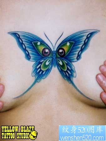 一幅胸部蓝色蝴蝶纹身图片