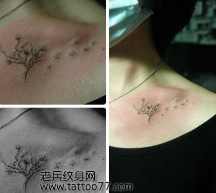 美女胸部潮流经典的树纹身图片