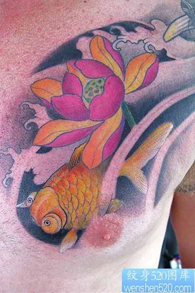 可爱的胸口金鱼纹身图片