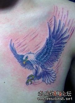 胸部纹身图片：经典胸部老鹰纹身图片纹身作品