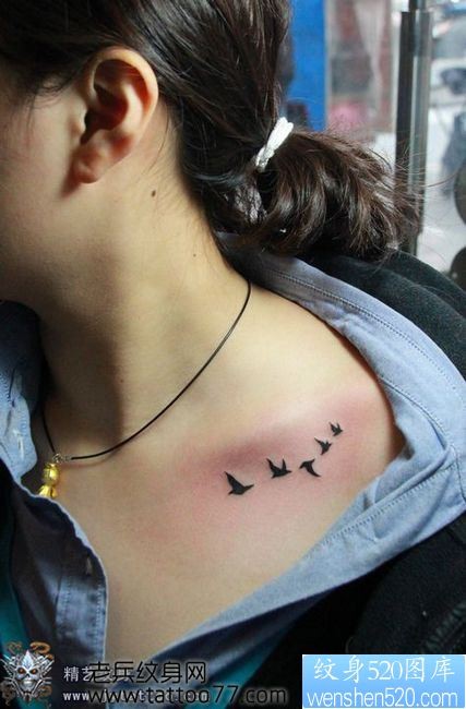 美女胸部流行的小鸟纹身图片
