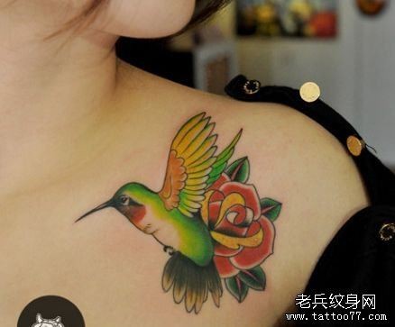 女孩子胸部彩色小蜂鸟玫瑰花纹身图片