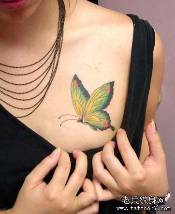 美女胸部漂亮的彩色蝴蝶纹身图片