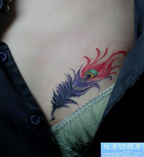 女孩子胸部流行的彩色羽毛纹身图片