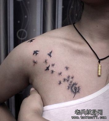 女孩子胸部一幅蒲公英与小鸟纹身图片