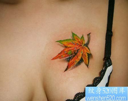 美女胸部漂亮的彩色枫叶纹身图片