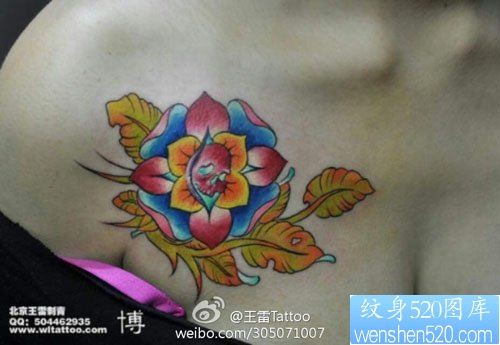 美女胸部潮流漂亮的彩色花卉纹身图片