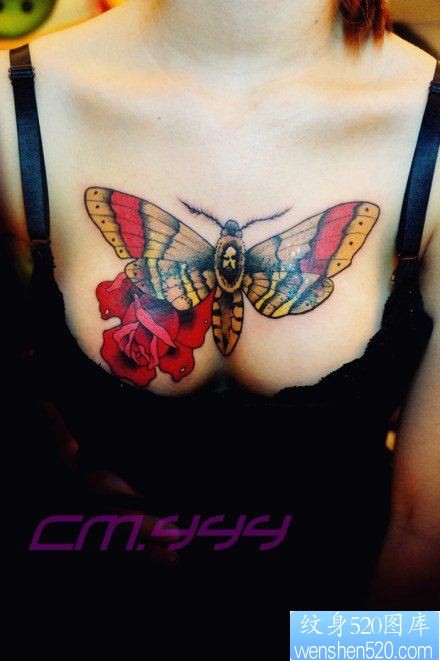 美女前胸漂亮的彩色蝴蝶纹身图片
