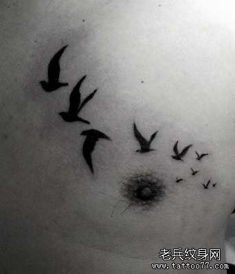 男人胸部一幅鸽子纹身图片