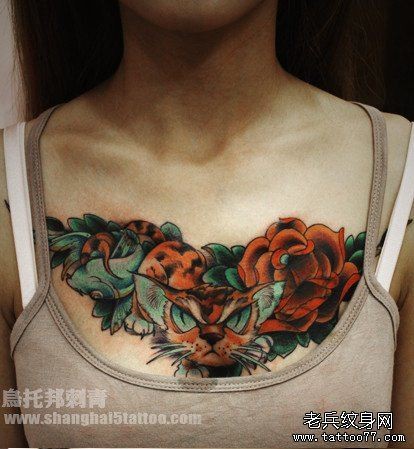 女人胸前猫咪玫瑰花纹身图片