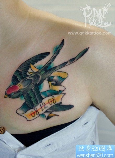 女人前胸时尚唯美的燕子纹身图片
