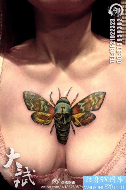 女人前胸超帅的死亡之蛾纹身图片