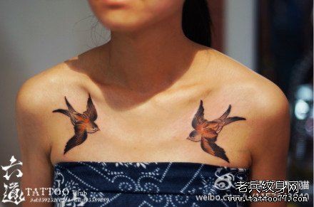 女人胸前时尚精美的小燕子纹身图片