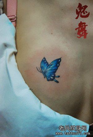 女性前胸漂亮潮流的蝴蝶纹身图片
