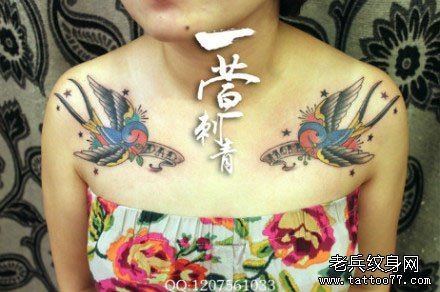 女人胸前时尚经典的燕子纹身图片