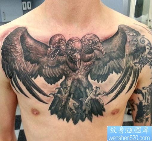 推荐胸口一幅个性老鹰纹身图片